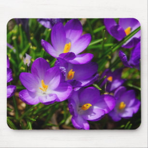 Lilac Crocuses Mousepad