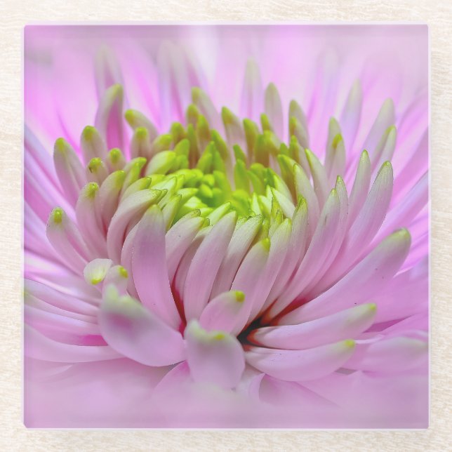 Lilac Dahlia - Glass Untersetzer (Vorderseite)