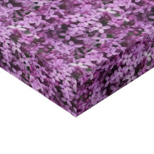 Lilac Foto | Gefleckte halbe Tropfen |