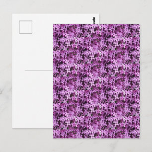 Lilac Foto Gefleckte halbe Tropfen Postkarte