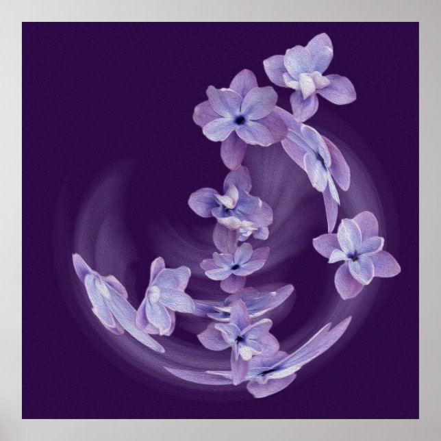 Lilac im Kreis Poster (Vorne)