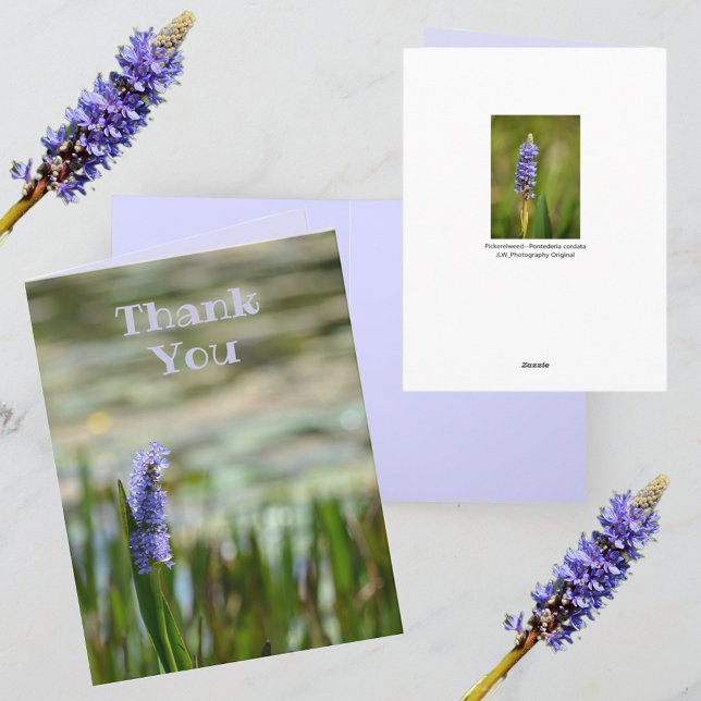 Lilac Lila Pickerelweed Blume Monet Inspiriert (Von Creator hochgeladen)