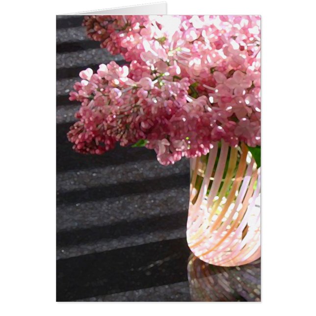 Lilac 'Maiden's Blush' (Vorne)