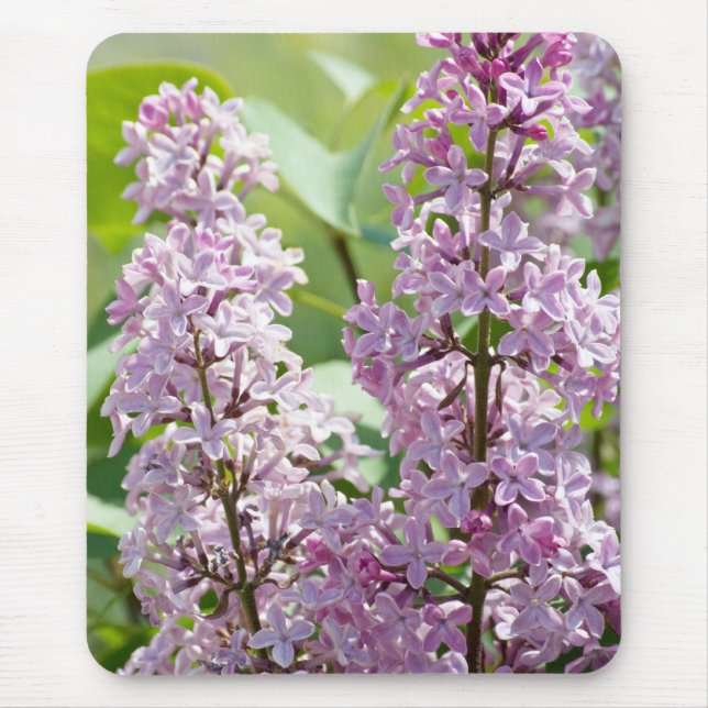 Lilac P5390 Mousepad (Vorne)