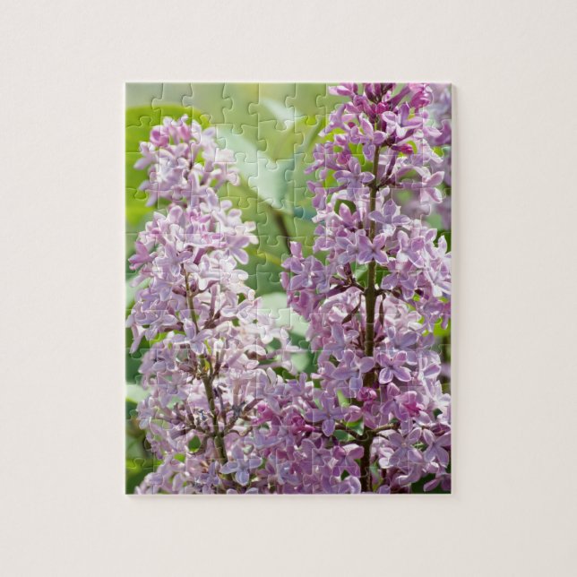 Lilac P5390 Puzzle (Vertikal)
