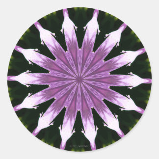 Lilac Petunia Kaleidoscope Classic Round Stickers
