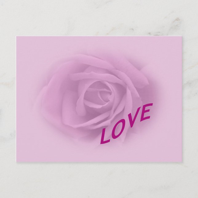 Lilac-Rose für Liebe Postkarte (Vorderseite)