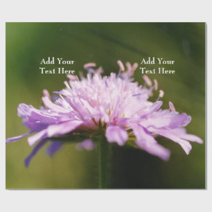Lilac Scabious (Knautia arvensis) Blume Custom Geschenkpapier