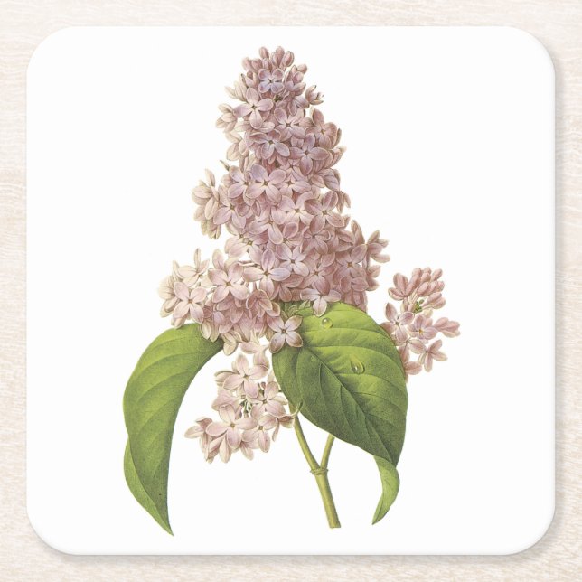 lilac(Syringa sp) von Redouté Rechteckiger Pappuntersetzer (Vorderseite)
