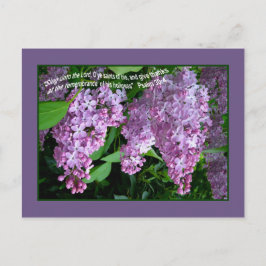 LILAC    TIMEPostcard Postkarte