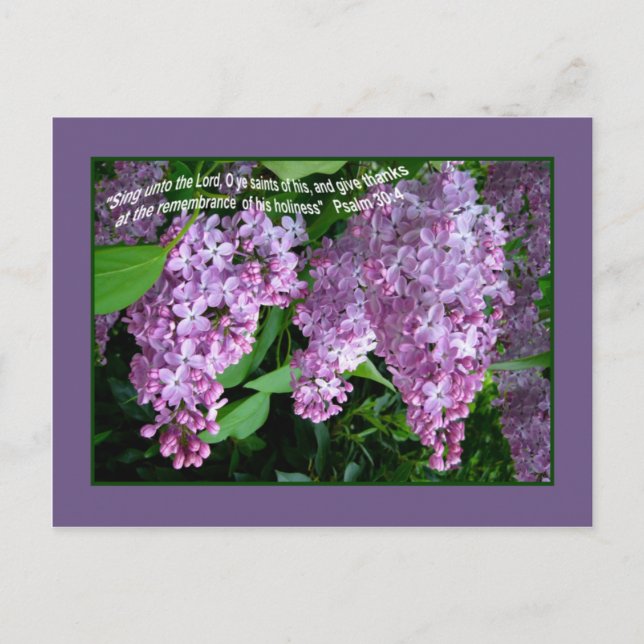 LILAC    TIMEPostcard Postkarte (Vorderseite)