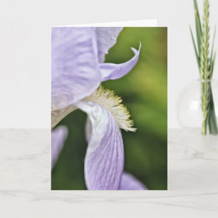 Lilac Toned Iris Artistic Note Card Karte