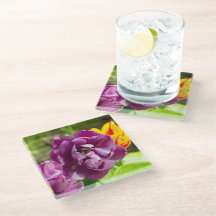 Lilac tulips an einem sonnigen Tag