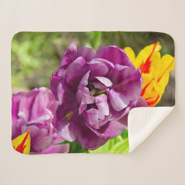 Lilac tulips an einem sonnigen Tag Sherpadecke (Vorderseite (Horizontal))