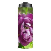 Lilac tulips an einem sonnigen Tag
