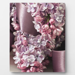 Lilac- und Flachbandbahnen Fotoplatte