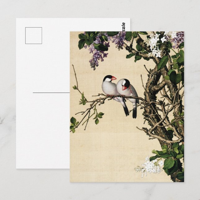Lilac und White Syringa Kunst Postkarte (Vorne/Hinten)