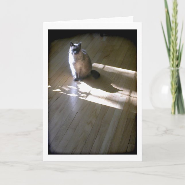 Lilac zeigte die siamesische Katze in der Sonne Karte (Vorderseite)