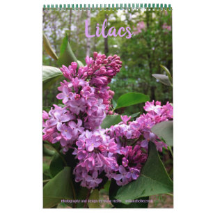 Lilacs - ALLE LILACS!!  Foto Kalender