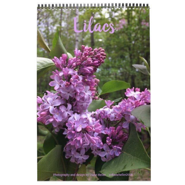 Lilacs - ALLE LILACS!!  Foto Kalender (Titelbild)