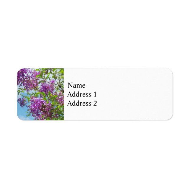 Lilacs an einem sonnigen Tag (Vorne)