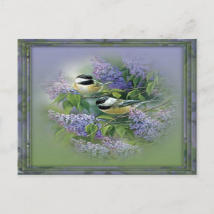 Lilacs & Birds Postkarte