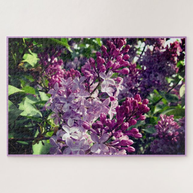 Lilacs Bloom Ohio Springtime Puzzle (Horizontal)