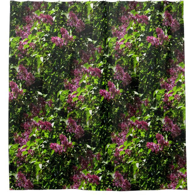Lilacs...... Duschvorhang (Vorderseite)