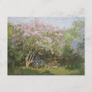 Lilacs in der Sonne von Claude Monet Postcard Postkarte