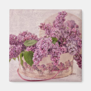 Lilacs in einem Viktorianischen Hutkasten Magnet