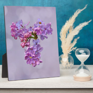 Lilacs in Springtime Fotoplatte