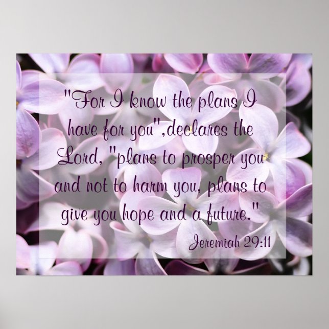Lilacs Jeremiah 29:11 Poster (Vorne)