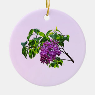 Lilacs Just Opening Keramik Ornament