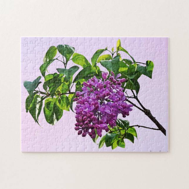 Lilacs Just Opening Puzzle (Horizontal)