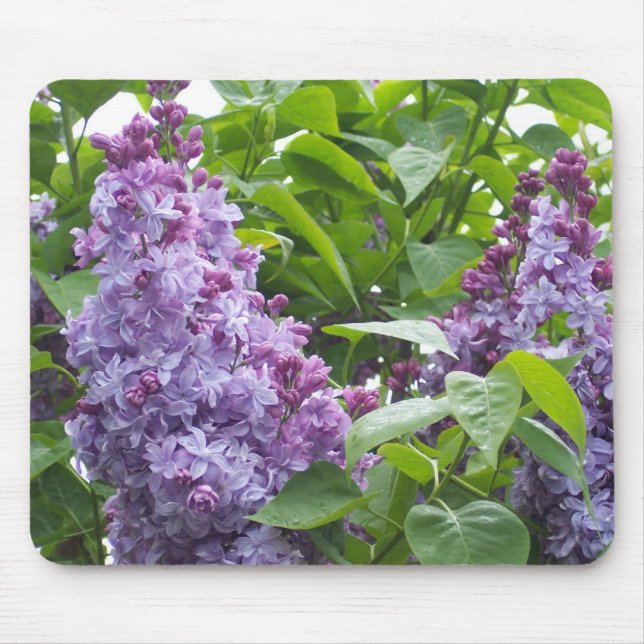 Lilacs Mousepad (Vorne)