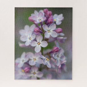 Lilacs-Puzzle Puzzle