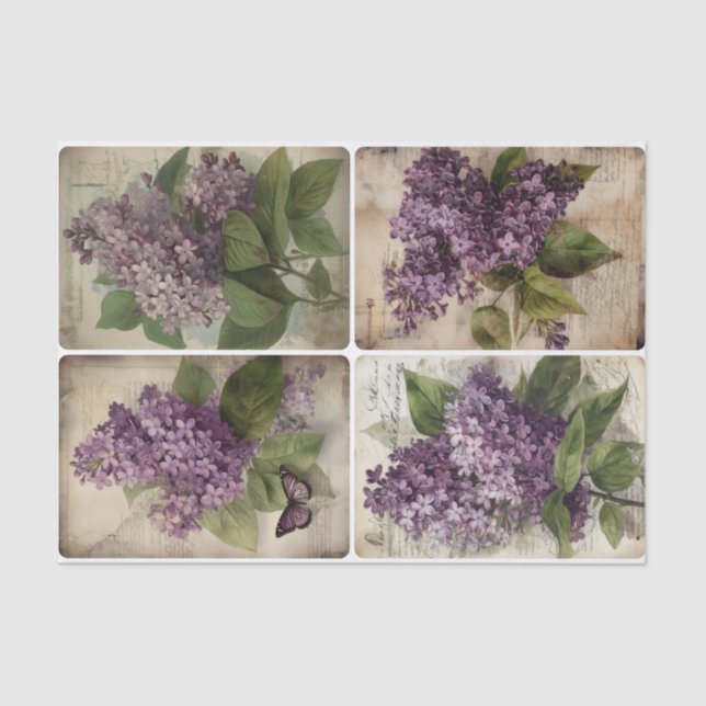 Lilacs Seidenpapier (Vorderseite)