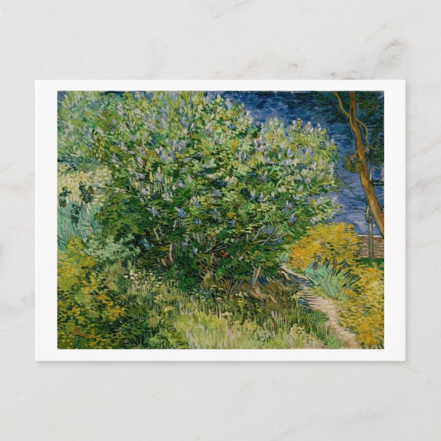Lilacs, Vincent van Gogh Postkarte (Vorderseite)