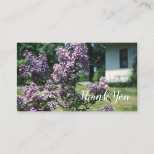 Lilacs Vintag Lilac Bush bei Zuhause Visitenkarte