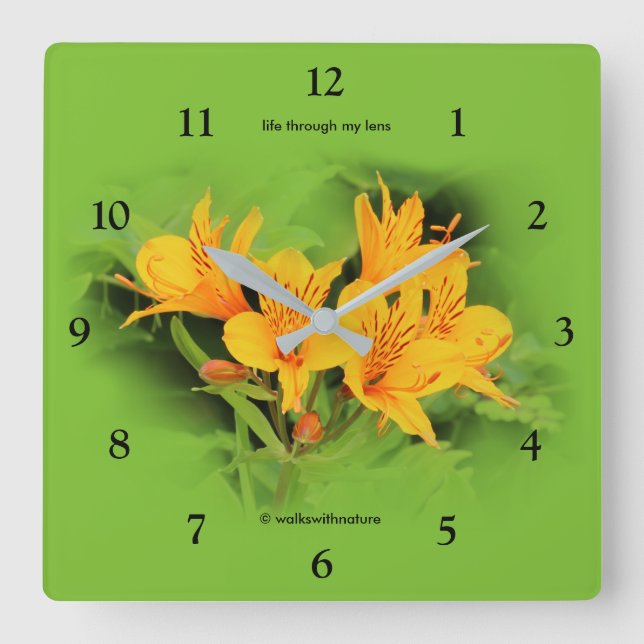 Lilie der Inkas/des gelben Alstroemeria Quadratische Wanduhr (Vorderseite)