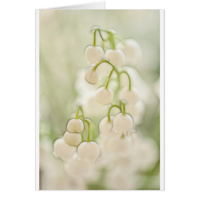 Lilie der Tal-Blumen-Skizze (Vorne)