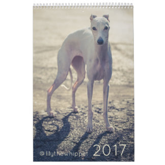 Lilie der Whippet 2017 Kalender