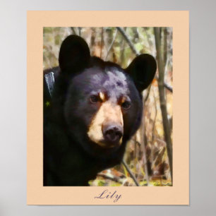 Lilie, ein amerikanischer schwarzer Bär Poster