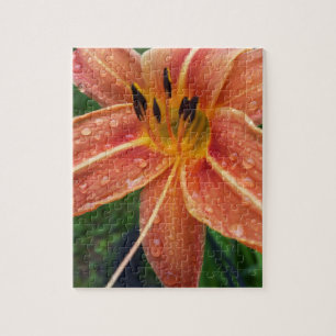 Lilie eines Tages Puzzle