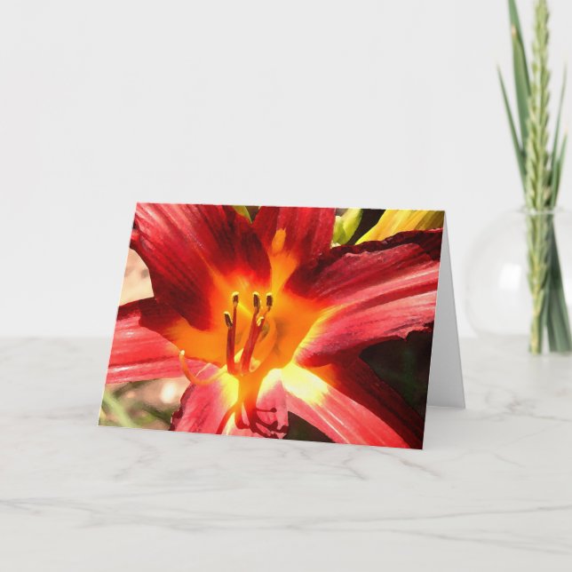 Lilie Karte (Vorderseite)