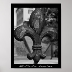 Lilie Natchitoches Poster