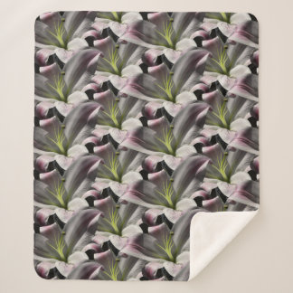 Lilie Sherpadecke