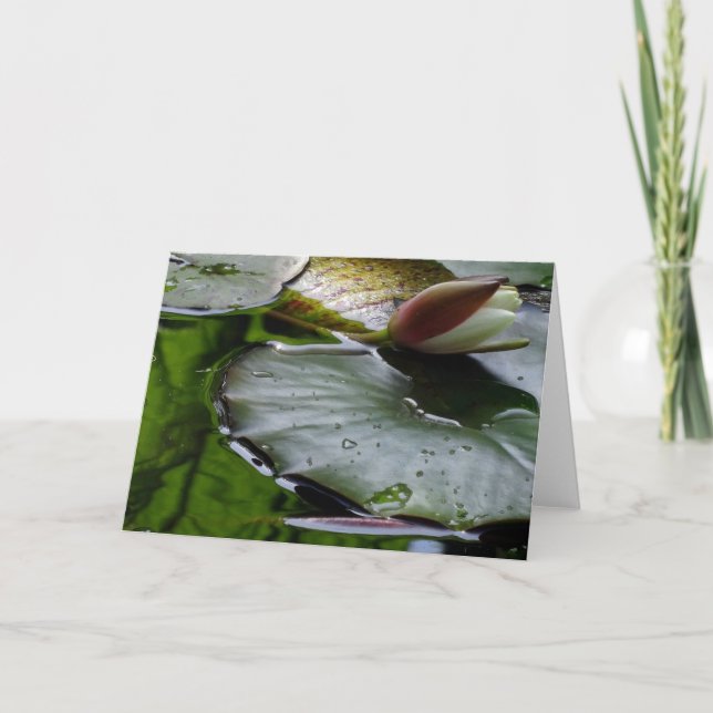 Lilie ungefähr, zum zu blühen Gruß-Karte Karte (Vorderseite)