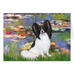 Lilien 1 - Papillon 1