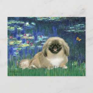 Lilien 5 - Pekingese 1b Postkarte